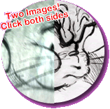 Tom and Jerry by Stuart Sayger